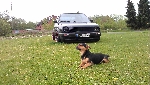 Avatar von nohii44