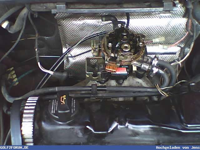 Bild 24102_53975abb5438c.jpg