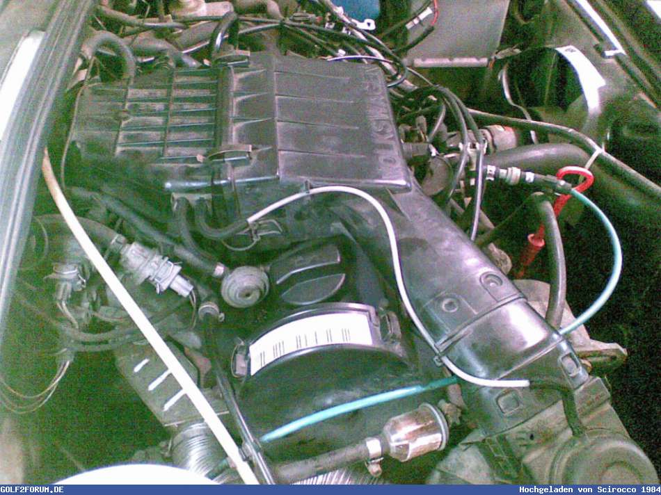 Bild 31986_54ff1b025c32d.jpg