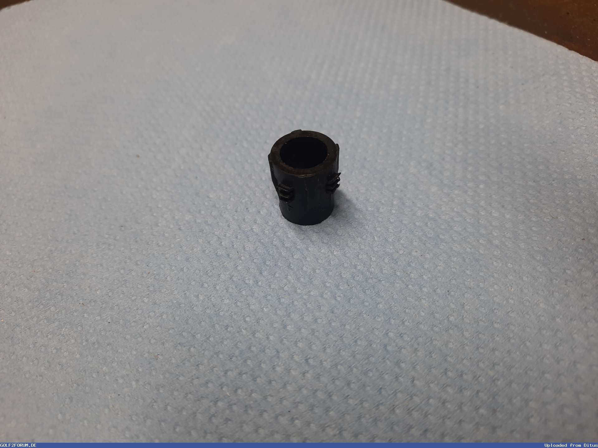 Bild 46326_69443a612f784.jpg