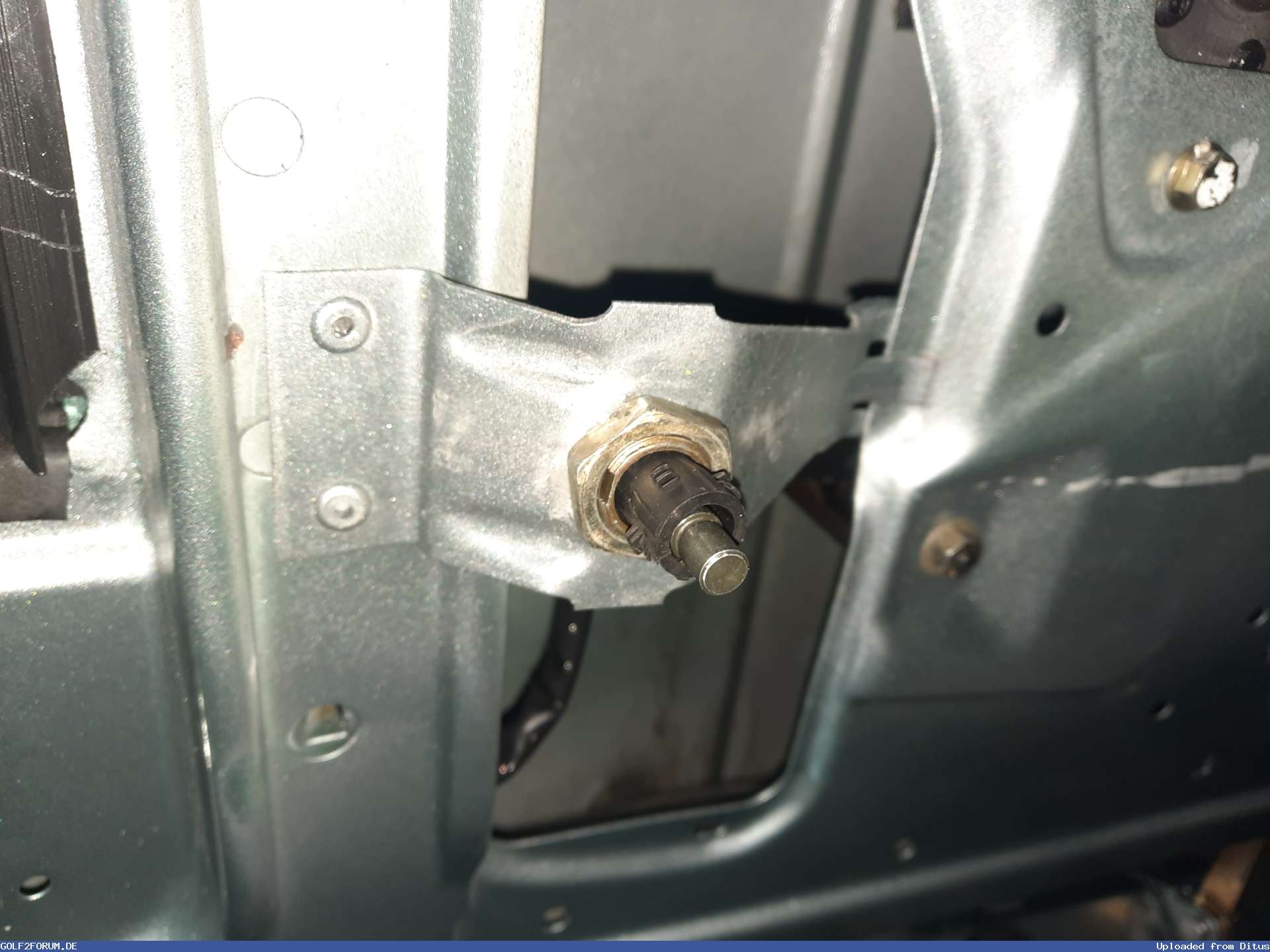 Bild 46329_6947b5e336c6a.jpg